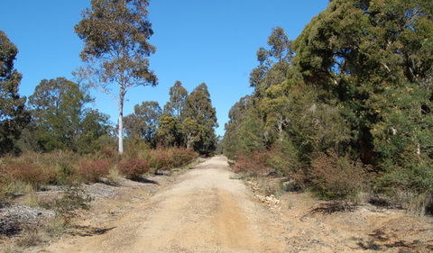 Werakata National Park - Accommodation NT 0