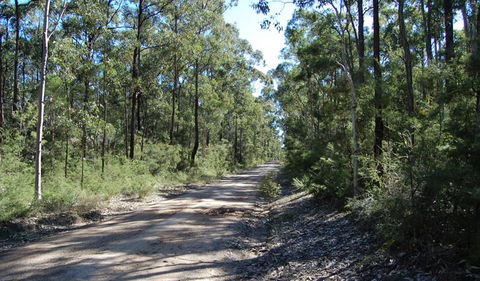Werakata National Park - Accommodation NT 2