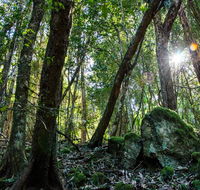 Copeland Tops State Conservation Area - Accommodation NT
