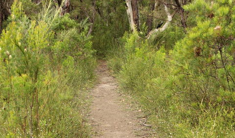 Three Views Walking Track - Accommodation NT 0