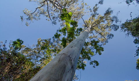 Basin Loop Track - Accommodation NT 2