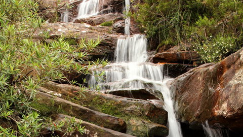 Popran National Park - Accommodation NT 1