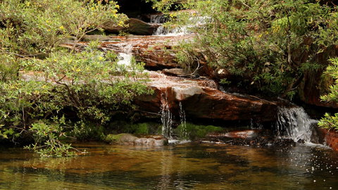 Popran National Park - Accommodation NT 2