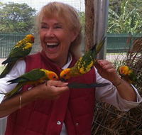 Maleny Botanic Gardens  Bird World - Accommodation NT