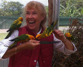 Maleny Botanic Gardens & Bird World - Accommodation NT 0