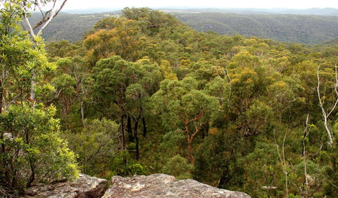 Mount Olive Lookout - Accommodation NT 0
