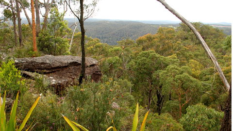 Mount Olive Lookout - Accommodation NT 2