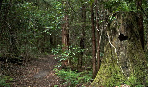 Jerusalem Creek Trail - Accommodation NT 1