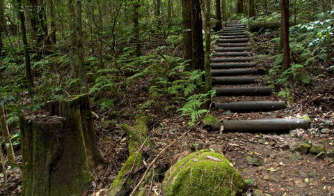 Jerusalem Creek Trail - Accommodation NT 2