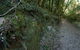 Hidden Treasure Track - thumb 0