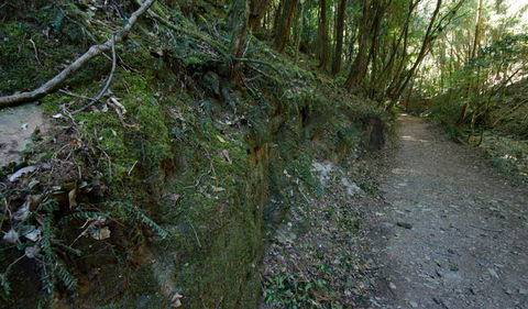 Hidden Treasure Track - Accommodation NT 0