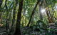 Hidden Treasure Track - thumb 1