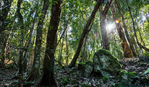 Hidden Treasure Track - Accommodation NT 1
