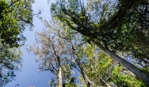Hidden Treasure Track - Accommodation NT 3