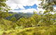 Toonumbar National Park - thumb 0