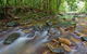 Toonumbar National Park - thumb 1