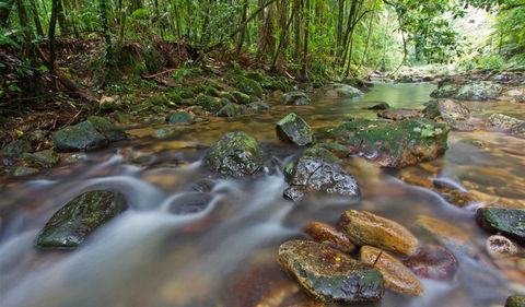 Toonumbar National Park - Accommodation NT 1