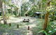 Toonumbar National Park - thumb 3