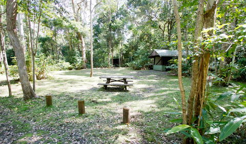 Toonumbar National Park - Accommodation NT 3