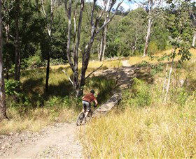 The Steps Mountain Bike Park - Accommodation NT 2