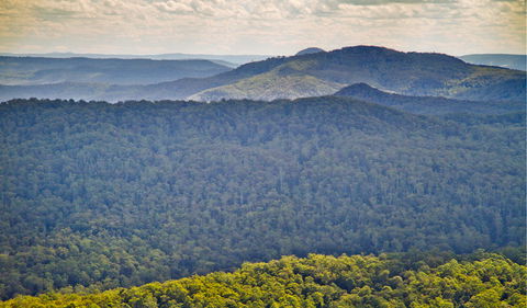 Murray Scrub Lookout - Accommodation NT 1