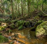 Palm Grove Nature Reserve - Accommodation NT