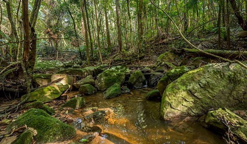 Palm Grove Nature Reserve - Accommodation NT 0