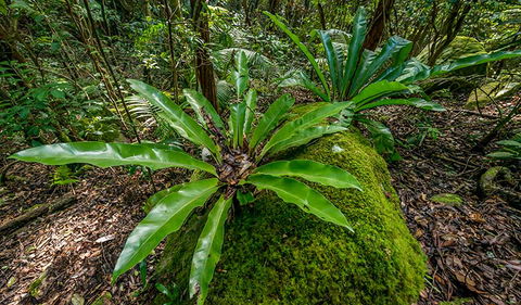 Palm Grove Nature Reserve - Accommodation NT 2