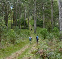 The Green Gully track - Accommodation NT