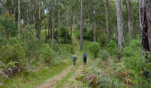 The Green Gully Track - Accommodation NT 0