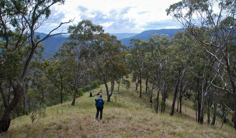 The Green Gully Track - Accommodation NT 1