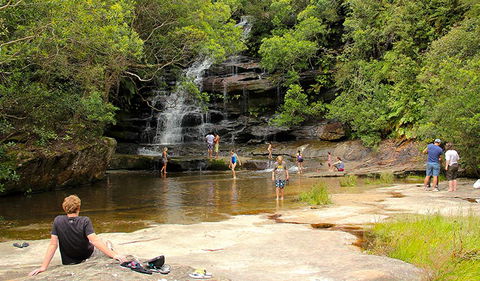 Somersby Falls Picnic Area - Accommodation NT 0