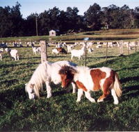 Trudgalong Farm - Accommodation NT