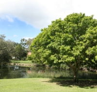 Hervey Bay Botanic Gardens - Accommodation NT