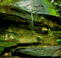 Strickland State Forest - Accommodation NT