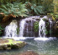 Barrington Tops National Park Walks - Accommodation NT