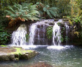 Barrington Tops National Park Walks - Accommodation NT 0