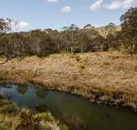 Werrikimbe National Park - Accommodation NT