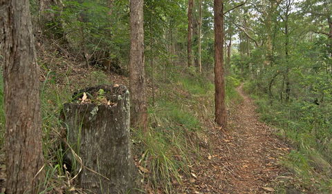 Border Loop Walk - Accommodation NT 0
