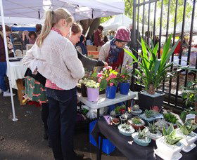 Glebe Markets - Accommodation NT 3