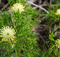 Illawarra lookout walking track - Accommodation NT