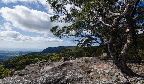 Illawarra Lookout Walking Track - Accommodation NT 2