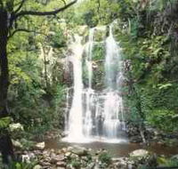 Budderoo National Park - The Falls Walk - Accommodation NT