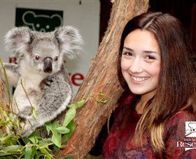 New Lambton NSW Accommodation NT