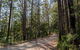 Hastings Forest Way Touring Route - thumb 1