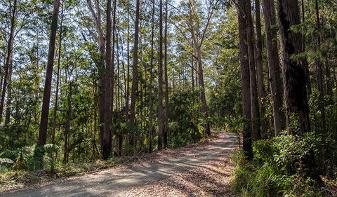 Hastings Forest Way Touring Route - Accommodation NT 1