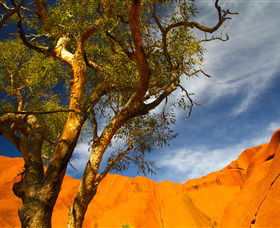The Artery Aboriginal Art - Accommodation NT 2