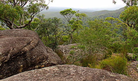 Pigeon House Mountain Didthul Walking Track - Accommodation NT 1