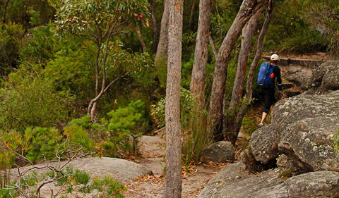 Pigeon House Mountain Didthul Walking Track - Accommodation NT 3