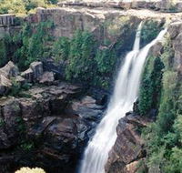 Minnamurra Rainforest Centre Budderoo National Park - Accommodation NT